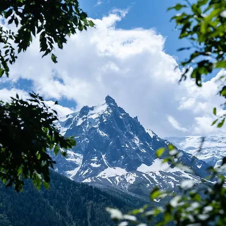Apart Otel Atc Routes Du Monde Argentiere-chamonix 3*